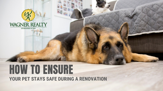Pet Safe Renovations